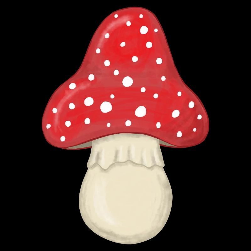 Champignon à mouches