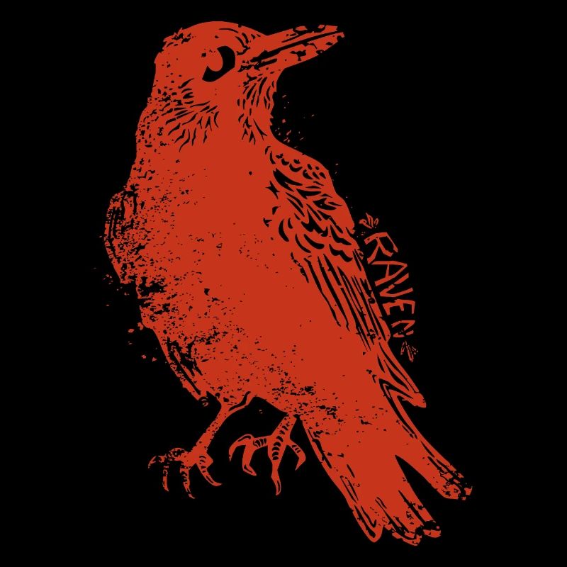 Le Corbeau - Der Rabe Grungy