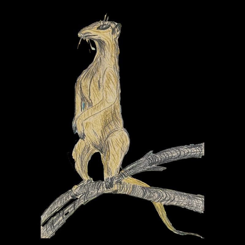 Fantasy birds on branches