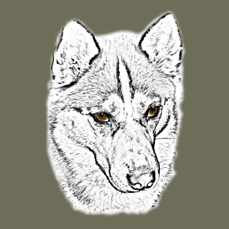 Wolfskopf Linienstudie