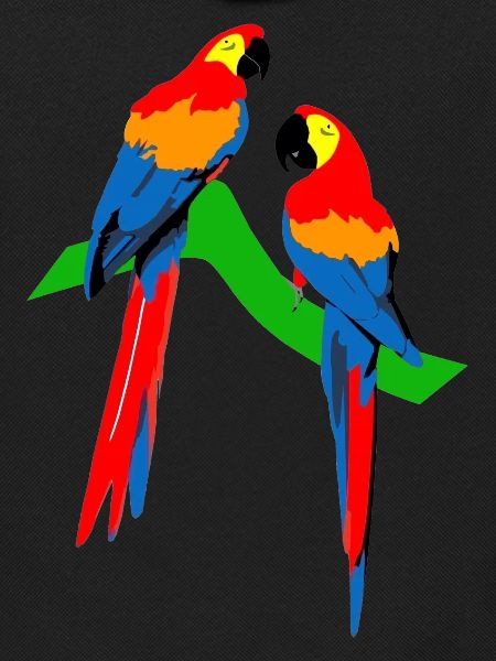 Parrots