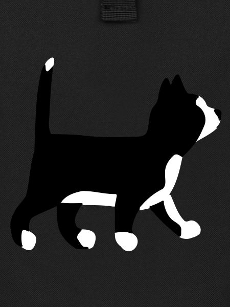Kitten