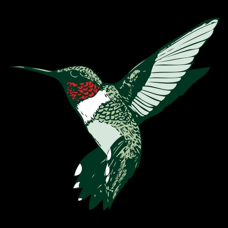 Kolibri