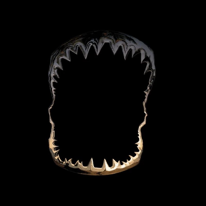 Shark Black Or