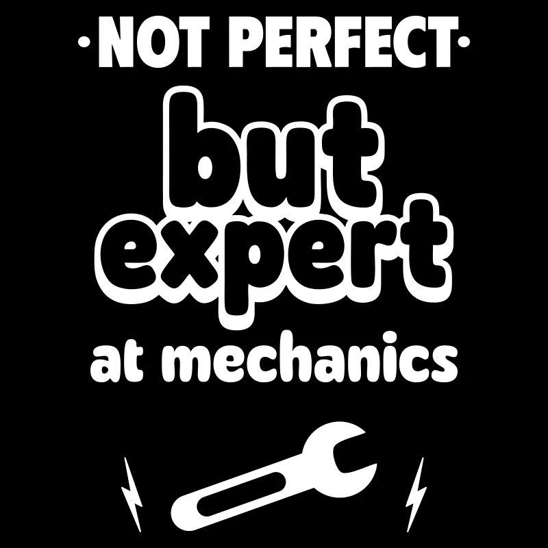 Experte bei Mechanics