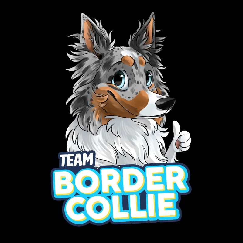TEAM Border Collie Langhaar - Blau Merle Tri