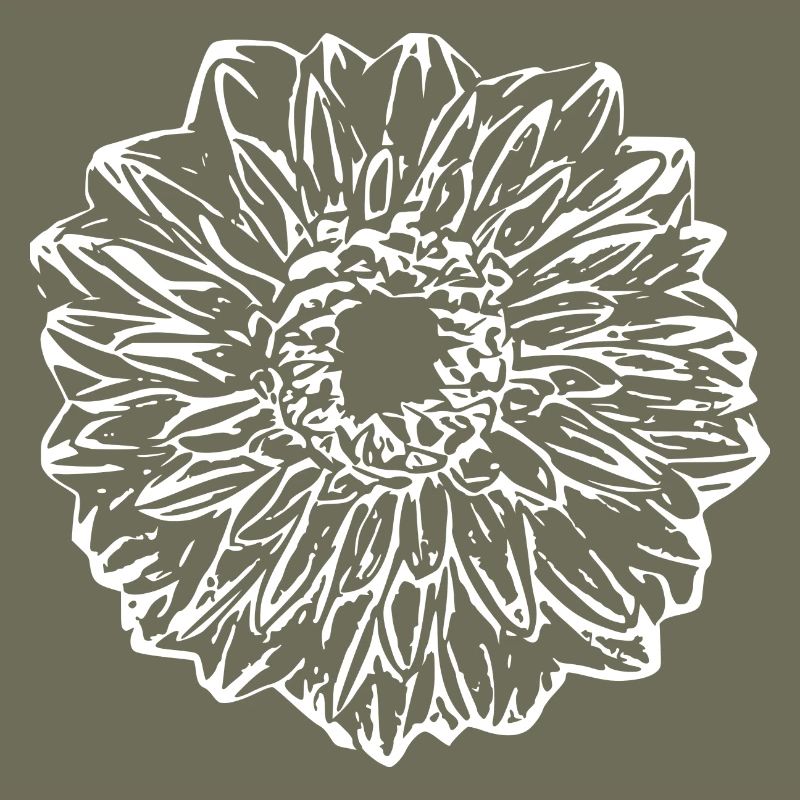 Fleur, Blanc, Fleur Blanche
