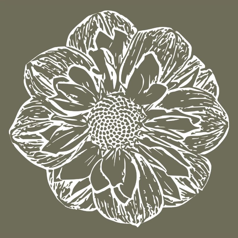 Fleur, Blanc, Fleur Blanche