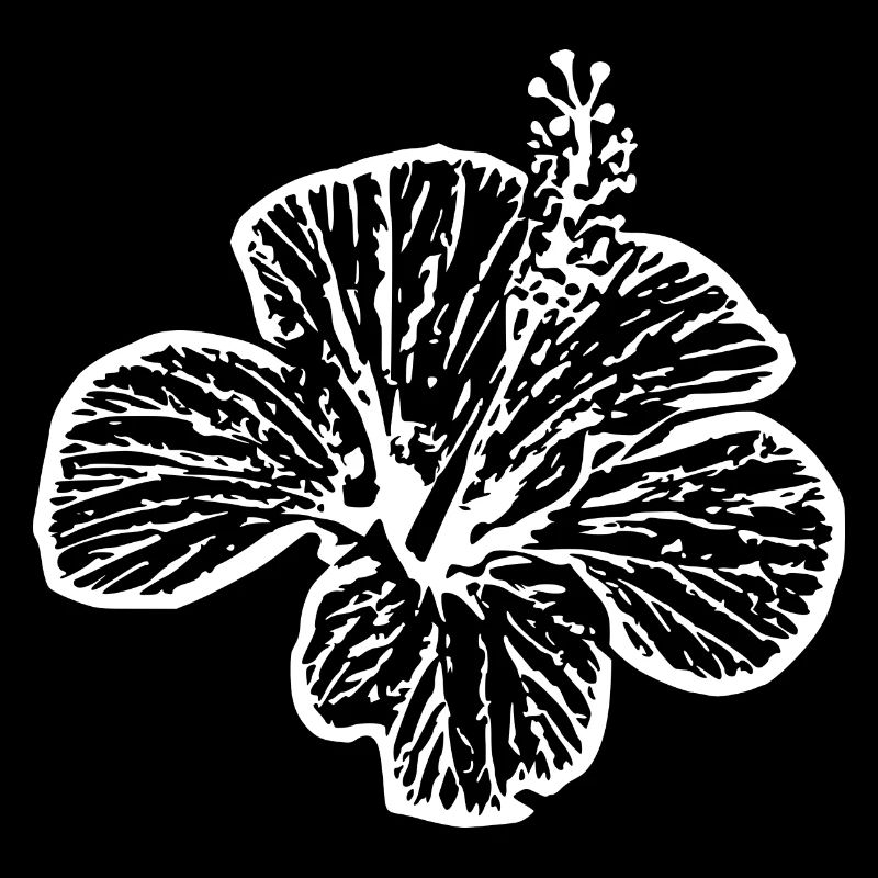 Fleur Fleur Blanche Fleur D’hibiscus