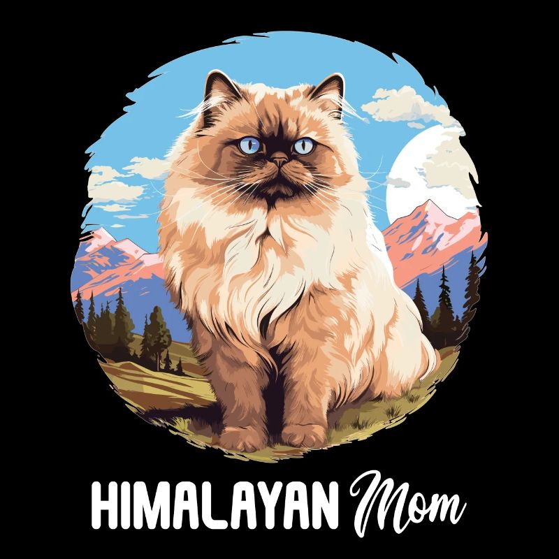 Himalayan Cat Colourpoint Katze