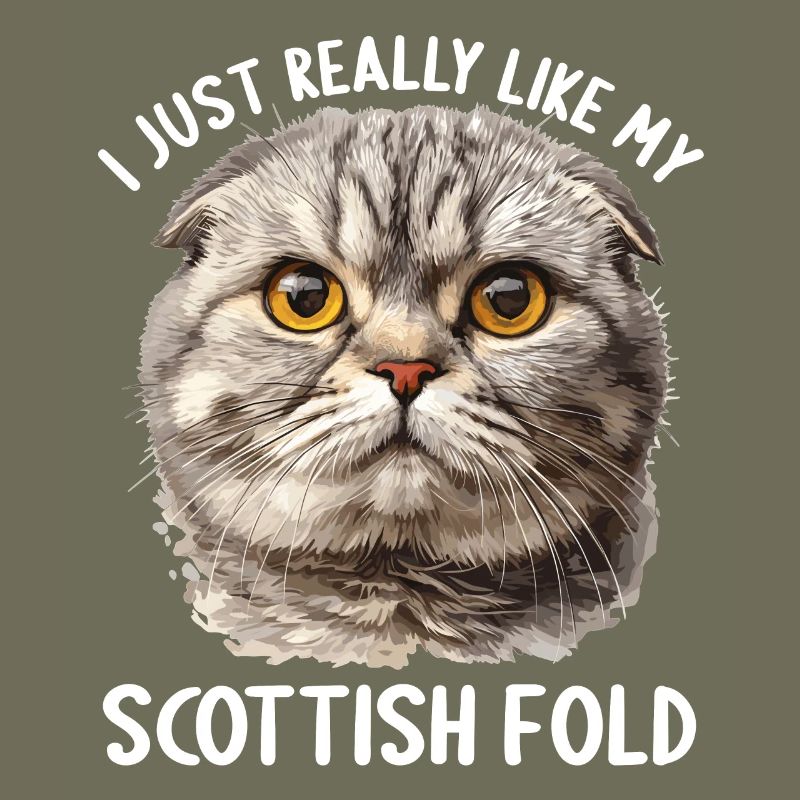 Scottish Fold Kätzchen Scottish Fold Katze