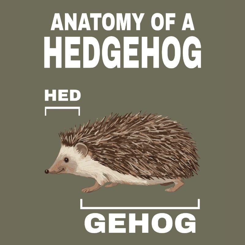 Anatomie eines Igels HED GEHOG Igel mit süßem