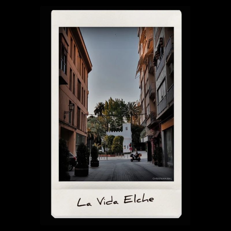 Leben Elche