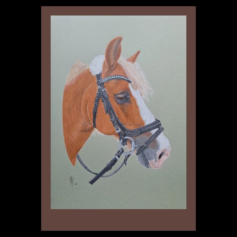 Portrait de cheval avec bride d’équitation