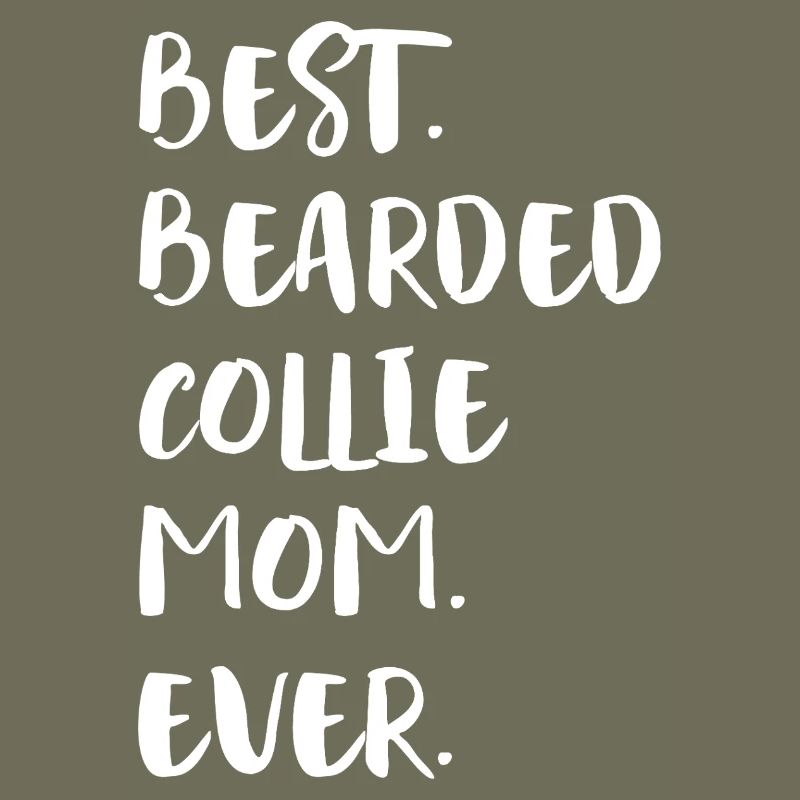 Bearded Collie