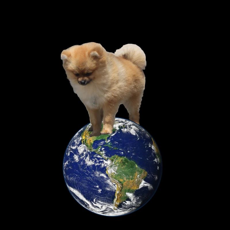 Meine Welt