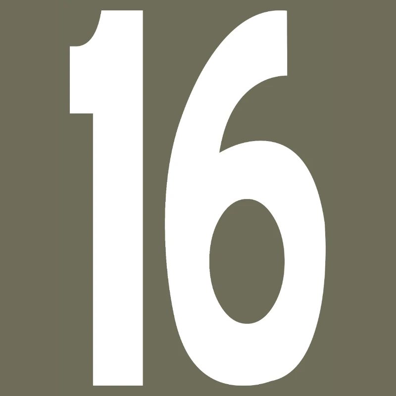 16 Seize