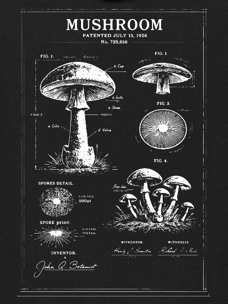 Mushroom Blueprint Botanical Art
