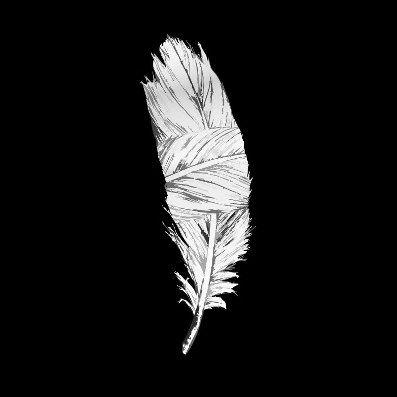 Black and White Feather