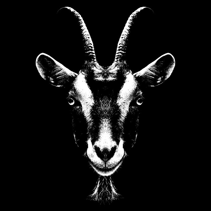Goat / Goat / Portrait / Head