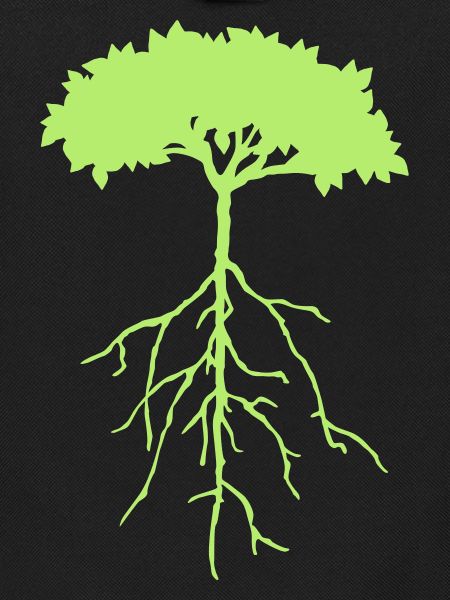 wurzelbaum