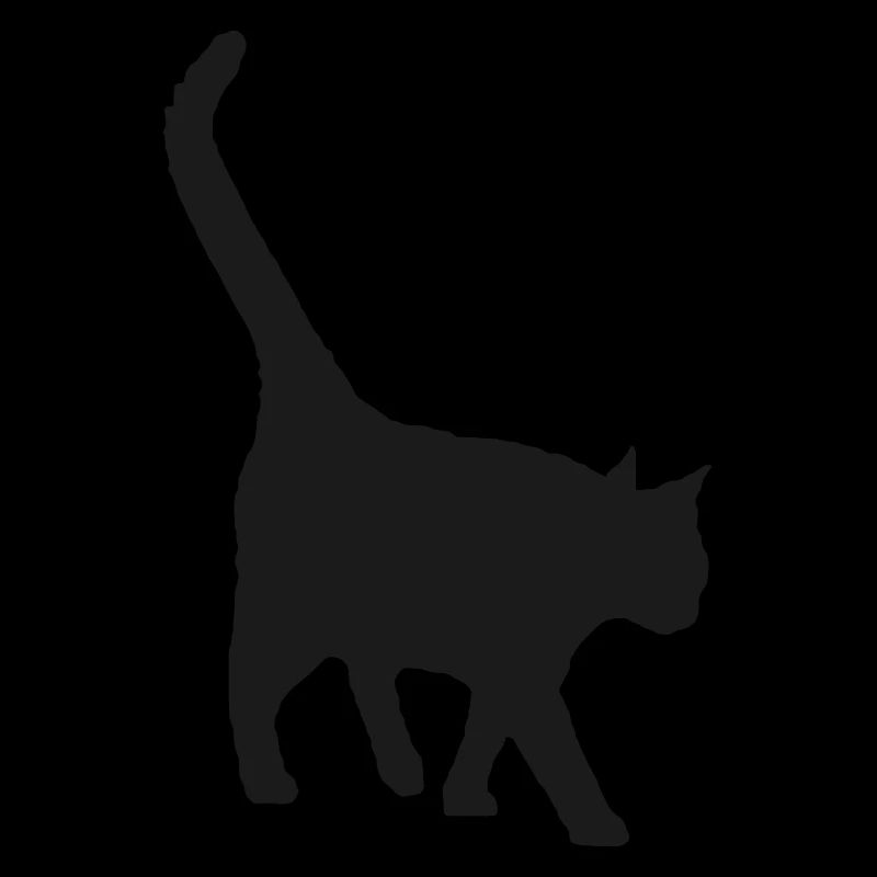 le chat noir