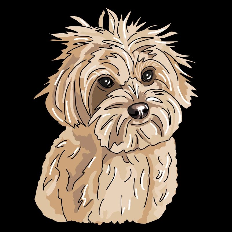 Havanese