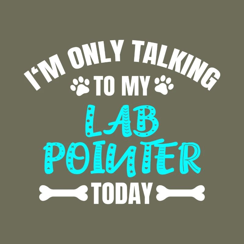 Lab Pointer
