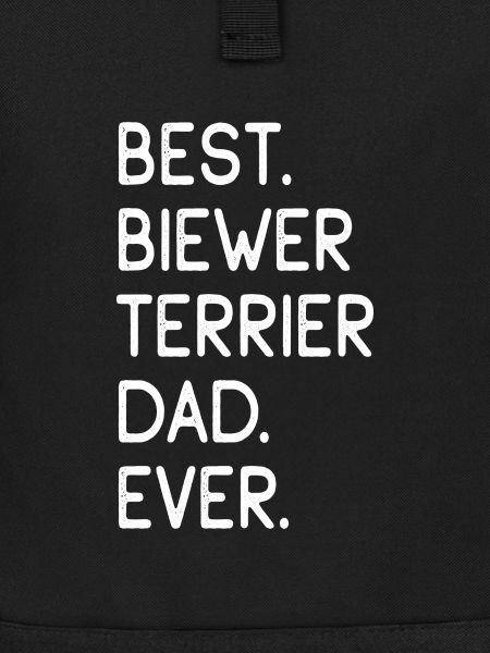 Biewer Terrier