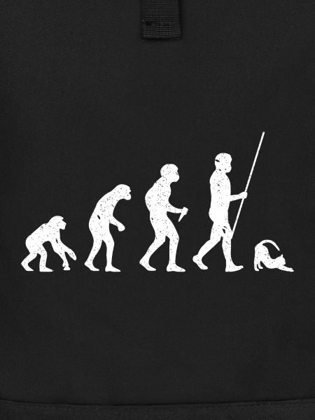 Cat Evolution