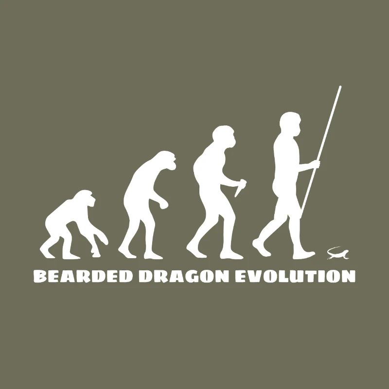 Bearded Dragon Bartagame Evolution