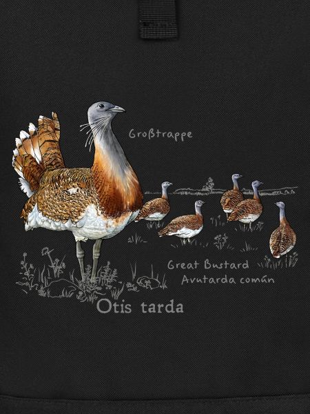 Great Bustard light