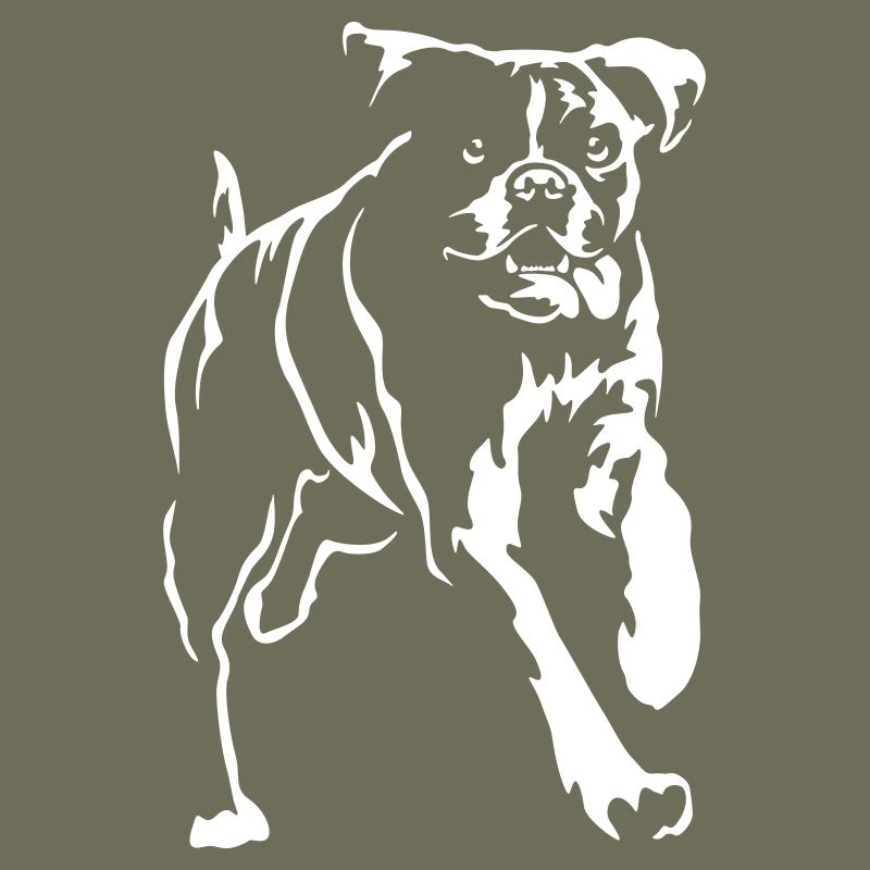 Boxer "Black Edition"