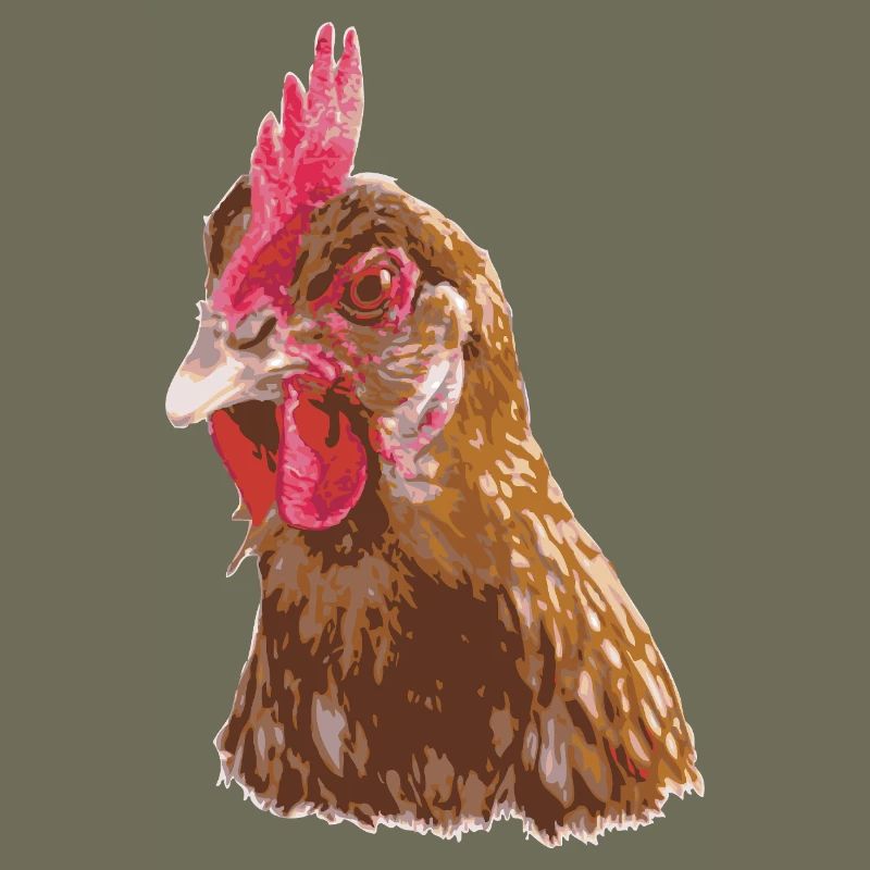 Hühnerillustration lebendigen Farben