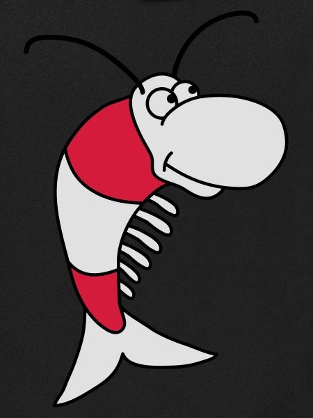 Shrimp