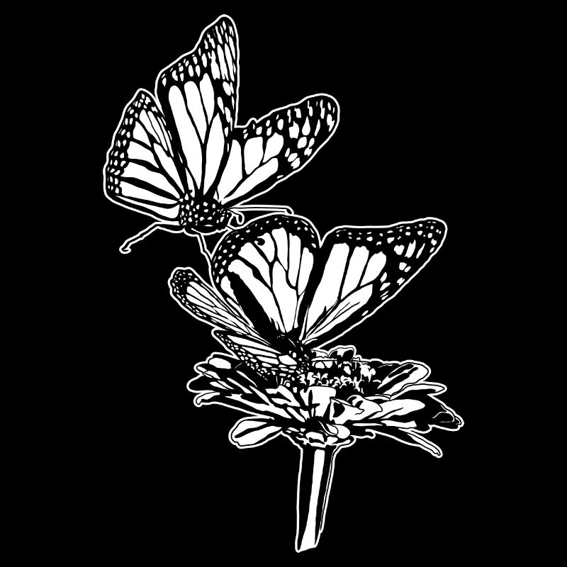 Monarch Butterfly Sketch Graphic Butterfly Lovers