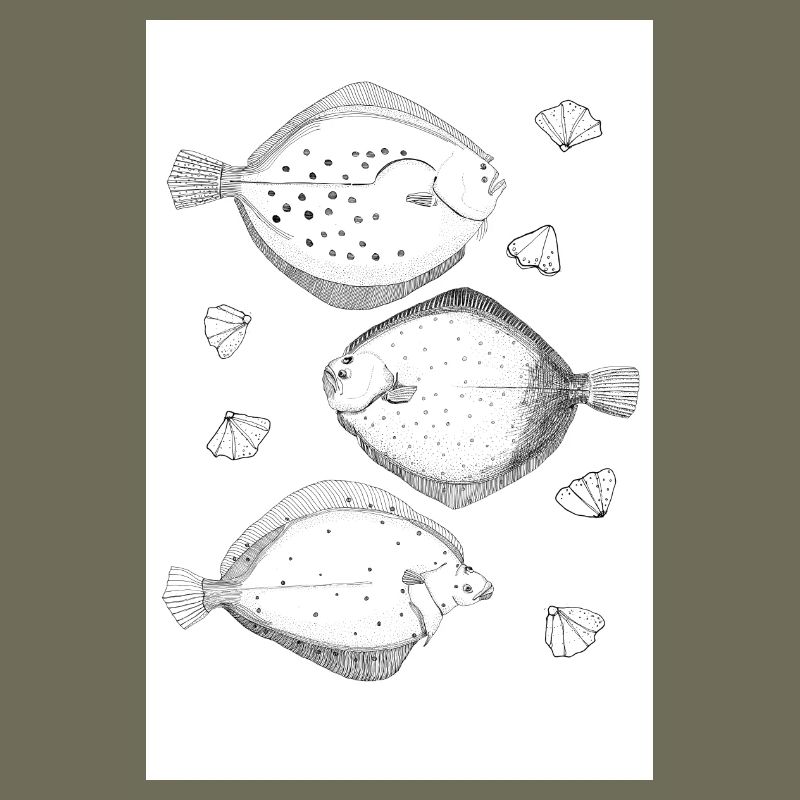 Flatfish poster
