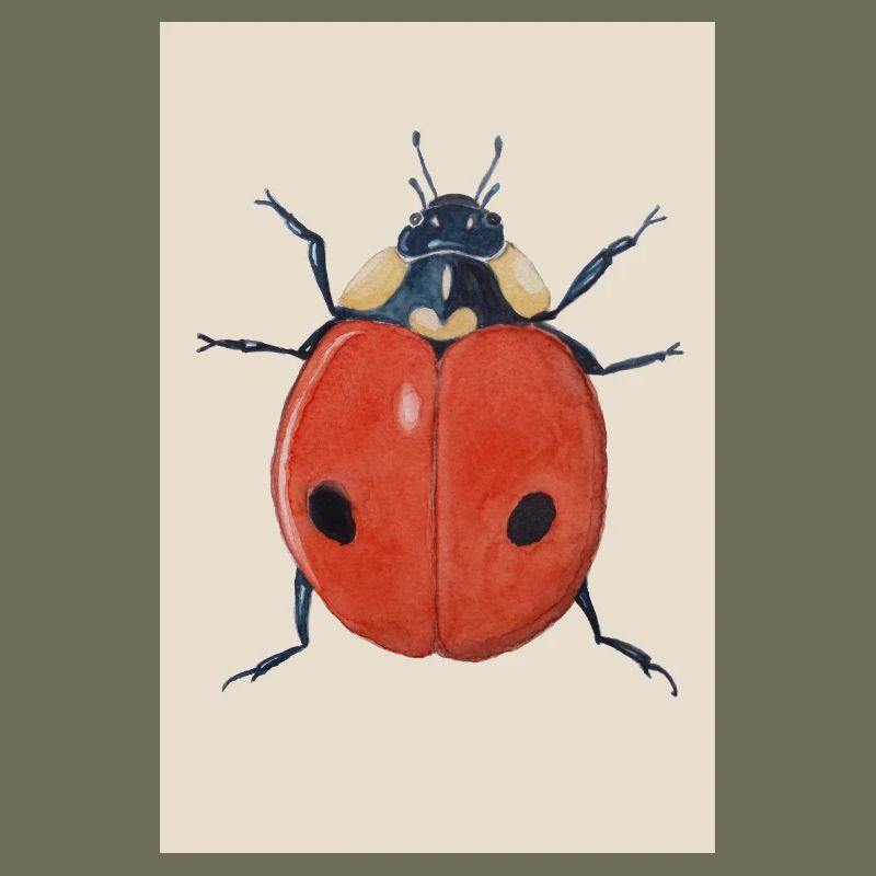 Affiche Ladybug 2
