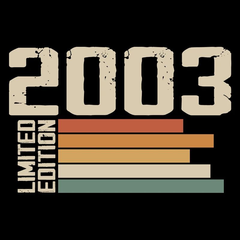 2003 Vintage - Retro 2003 Cadeau Anniversaire 2003