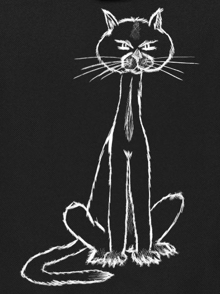 Ich bin der Kater….