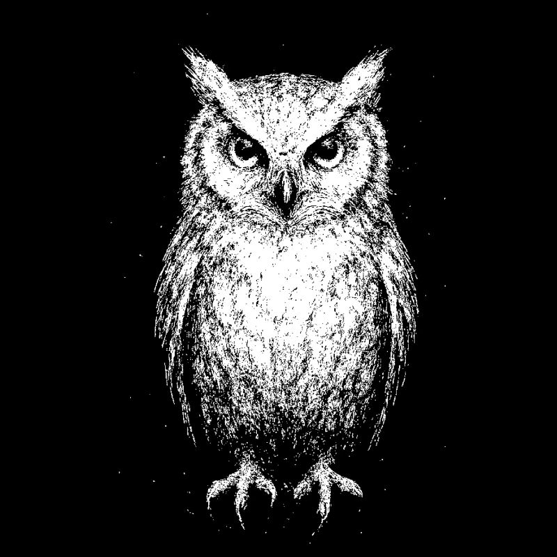 Hibou