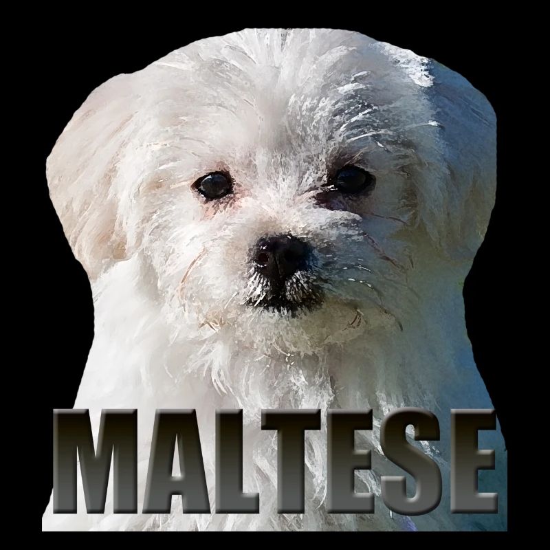maltais