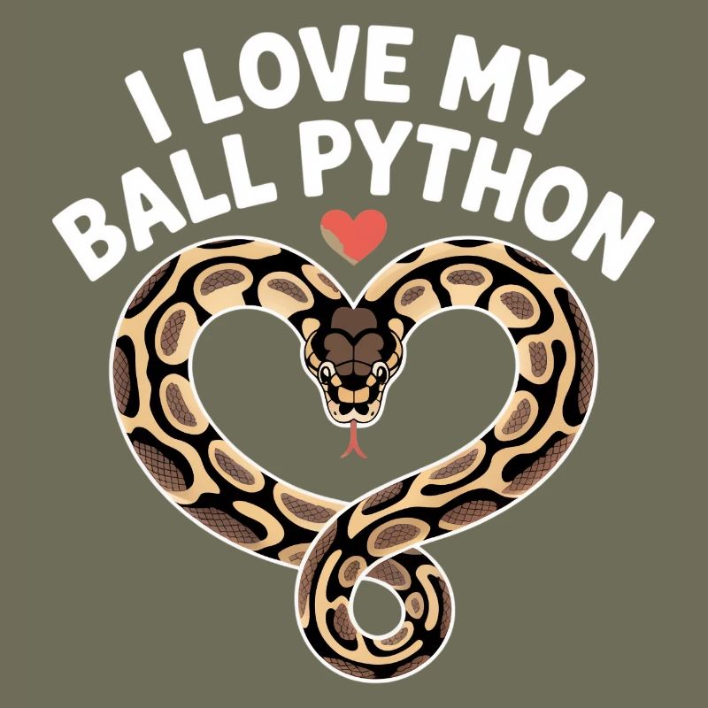 J’adore mon python royal ! Roi python