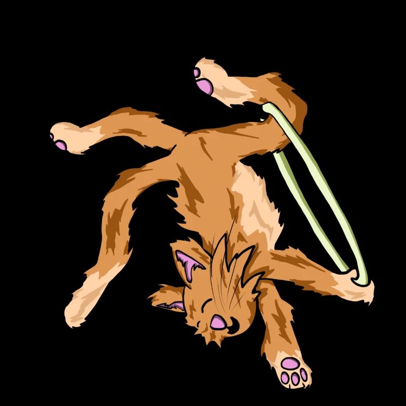 Aerial Cat Hoop