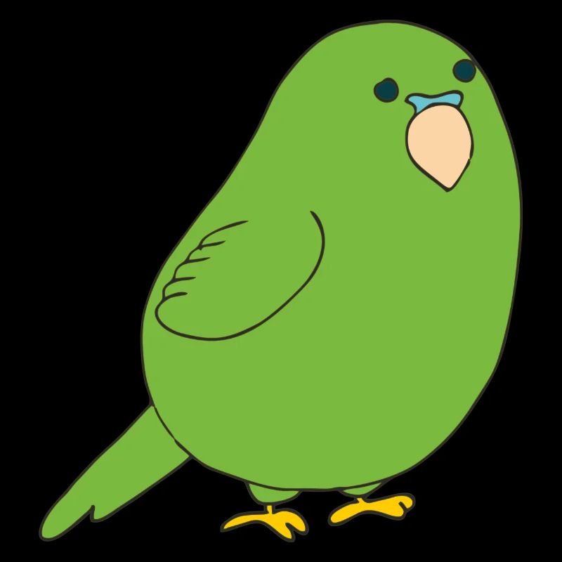 budgerigar