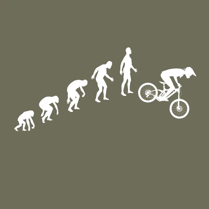 Evolution de la descente