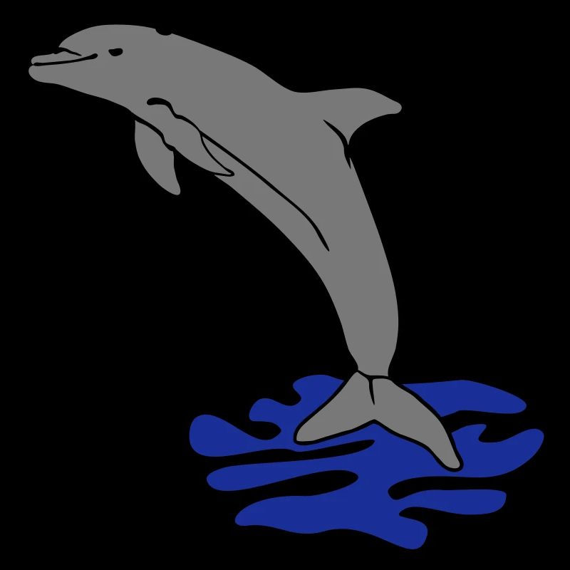 springender Delphin Delfin jumping dolphin