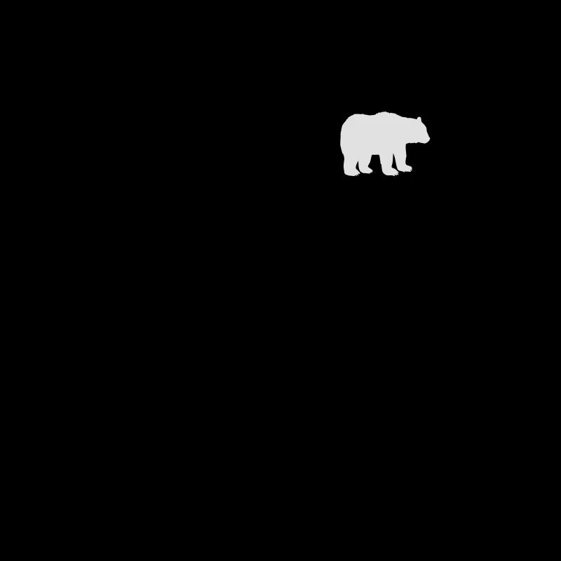 Bears