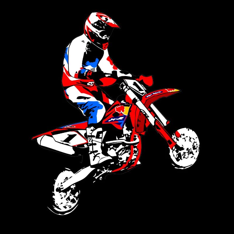 Supermoto Racer