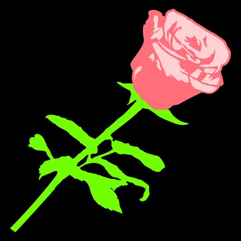 Hübsche Schöne Rose Blüte Blatt Röschen Romantisch